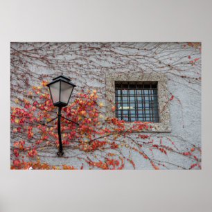 Lampe auf einer grauen Mauer Poster