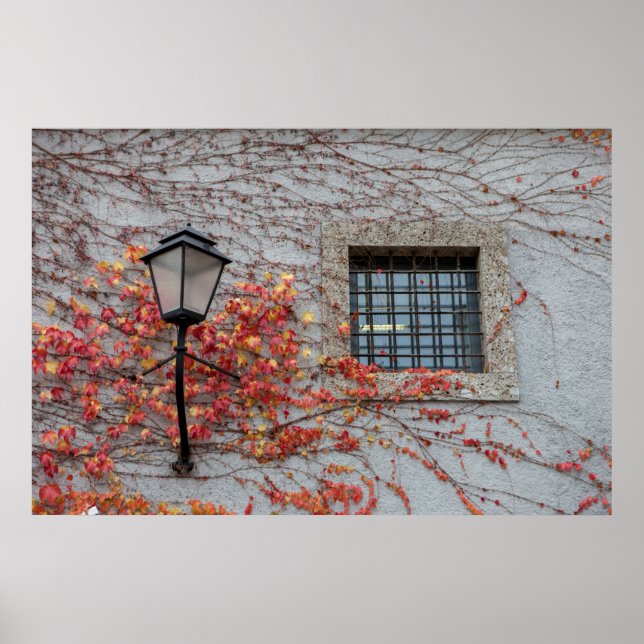 Lampe auf einer grauen Mauer Poster (Vorne)
