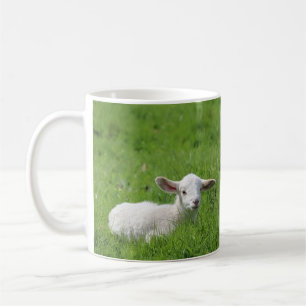 Lampe Kaffeetasse