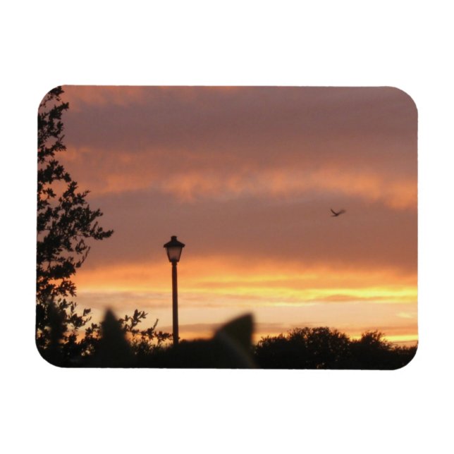 Lampe Post und Vogel Magnet (Horizontal)