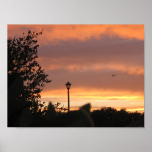 Lampe Post und Vogel Poster