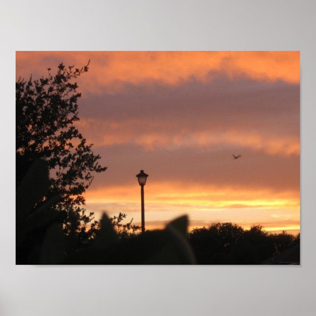 Lampe Post und Vogel Poster (Vorne)