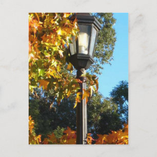 Lampen-Posten im Fall Postkarte