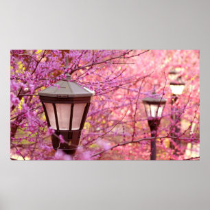 Lampen von UVA Poster