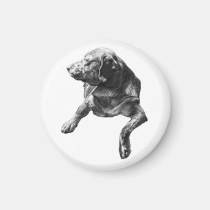 Lampenlicht: Labrador-Kontur Magnet