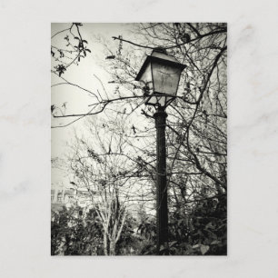 Lampenposten in Paris Postkarte
