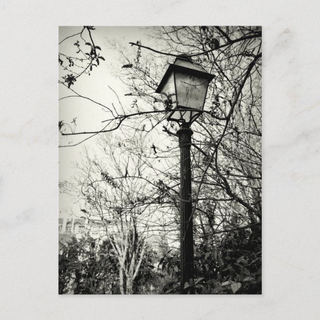 Lampenposten in Paris Postkarte (Vorderseite)