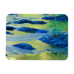 Lamprey River   New Hampshire Magnet