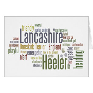 Lancashire Heeler