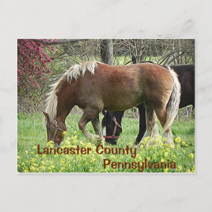 Lancaster Landkreis Pennsylvania - Postkarte