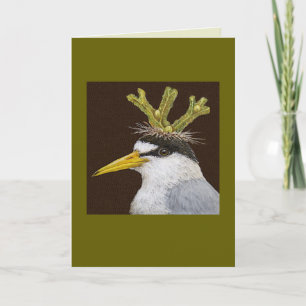 Lance the least tern card karte