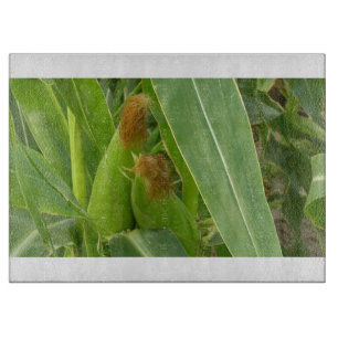 Land 109 Glasschneidebrett Schneidebrett