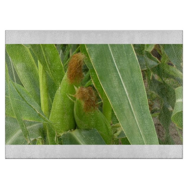 Land 109 Glasschneidebrett Schneidebrett (Vorderseite)