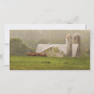 Land - Amish