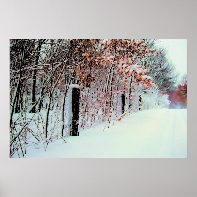Land Cold Poster (Vorne)