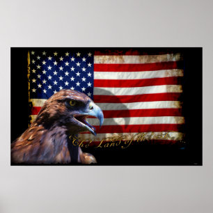 Land der Freien Patriotischen US-Flagge und Adler Poster