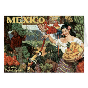 Land der tropischen Pracht