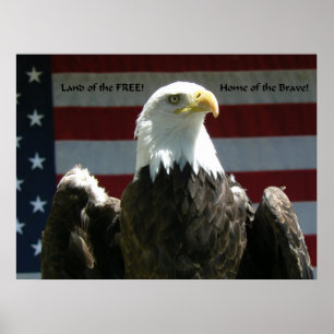 Land des freien Plakats Poster