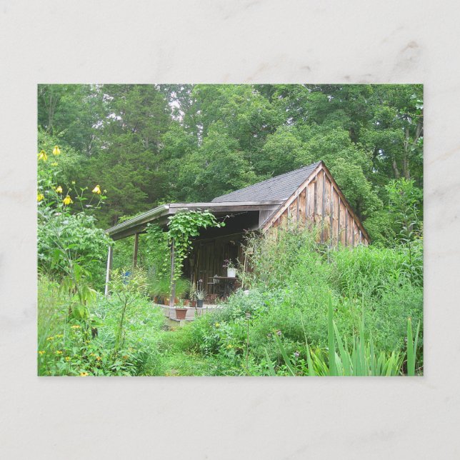Land Herzog Store Postkarte (Vorderseite)