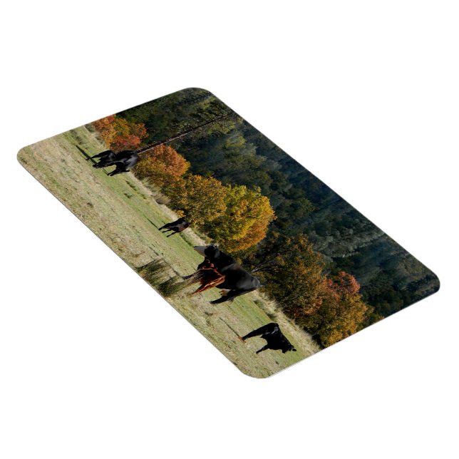 Land im Herbst... Magnet (Rechte Seite)