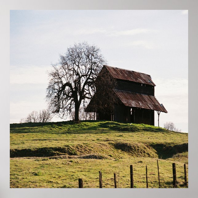 Land im Herbst...... Poster (Vorne)