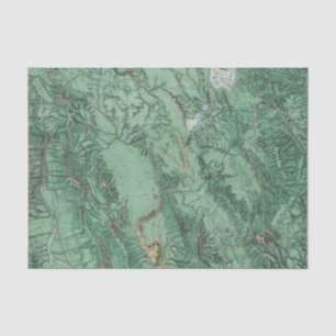 Land-Klassifikations-Karte von Idaho Seidenpapier