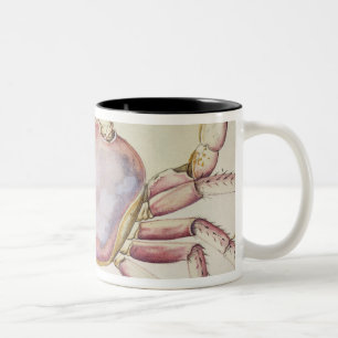 Land-Krabbe Zweifarbige Tasse