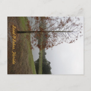 Land O"Lakes Lake Scene Postkarte