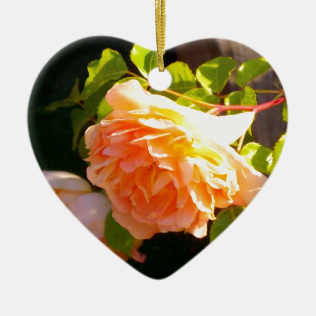Land Peach-Rose Keramikornament (Vorne)