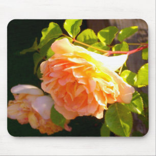 Land Peach-Rose Mousepad