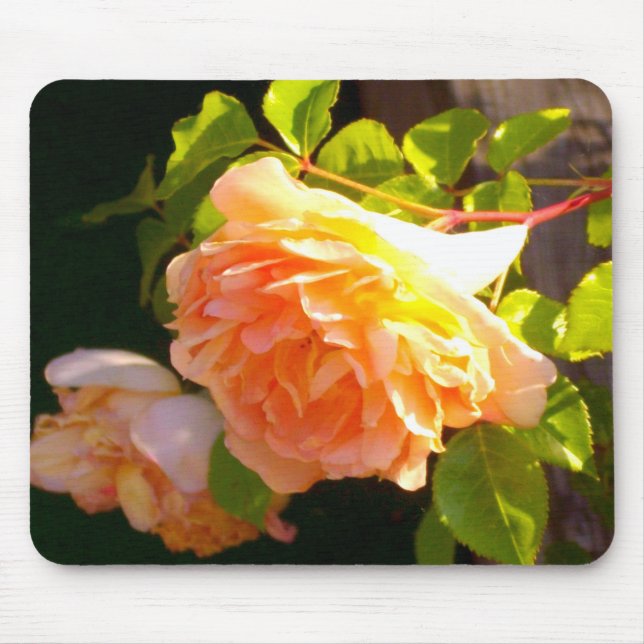 Land Peach-Rose Mousepad (Vorne)