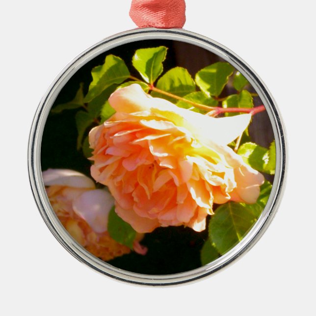 Land Peach-Rose Silbernes Ornament (Vorne)