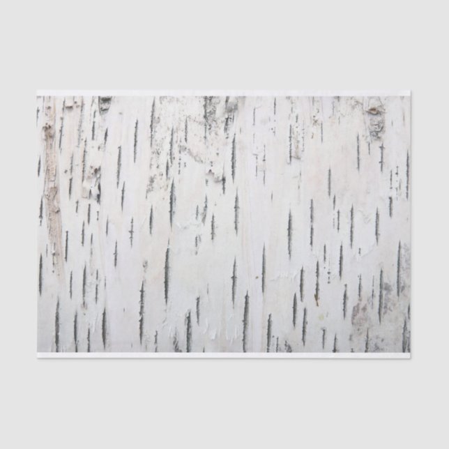 Land Rustikale Birkenbaumbraut Seidenpapier (Vorderseite)