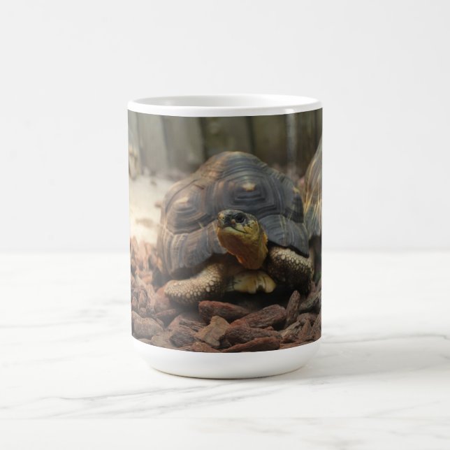 Land-Schildkröte Tasse (Mittel)
