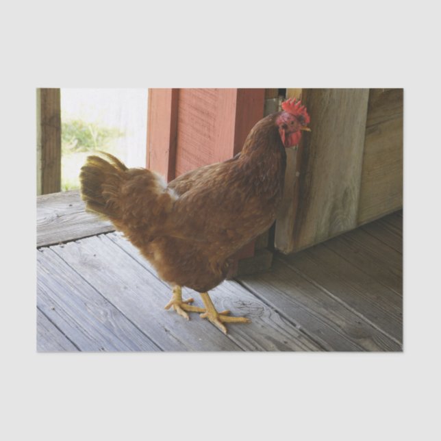 Land Seidenpapier (Vorderseite)