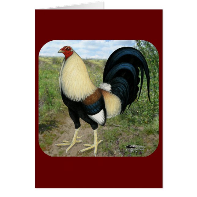 Land-Straßen-Kampfhahn (Vorne)