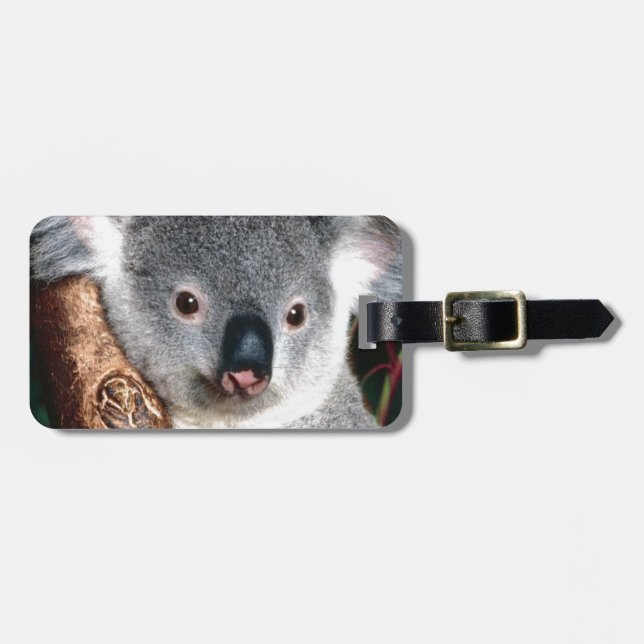 Land-Tier Koala-Bärn-Australiens Outback niedlich Gepäckanhänger (Vorderseite horizontal)