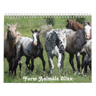 Landamerikanische Landtiere Kalender