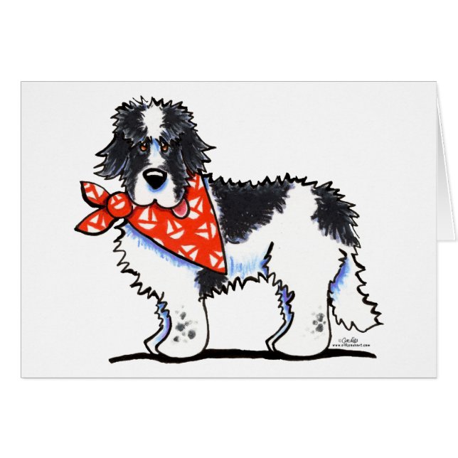 Landeer Newfie Sailor (Vorderseite (Horizontal))