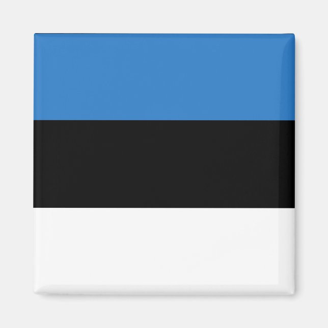 Länderflagge Estlands Magnet (Vorne)