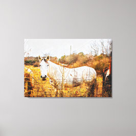 LÄNDERPFERDE Leinwand Kunst