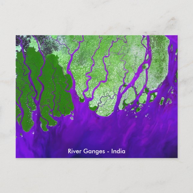 Landes River Delta Satellite Image - Indien Postkarte (Vorderseite)