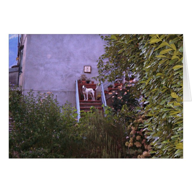 Landhaus-Aurora (Vorderseite (Horizontal))