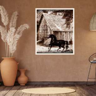 Landhaus-Rustikal-Scheune-Pferd Poster