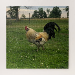 Landhuhn auf dem Bauernhof Foto Puzzle