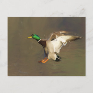 Landing Drake Postkarte