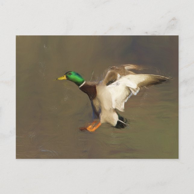 Landing Drake Postkarte (Vorderseite)