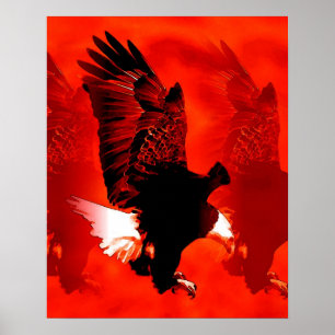 Landing Eagle Poster Print - Red Eagle Poster