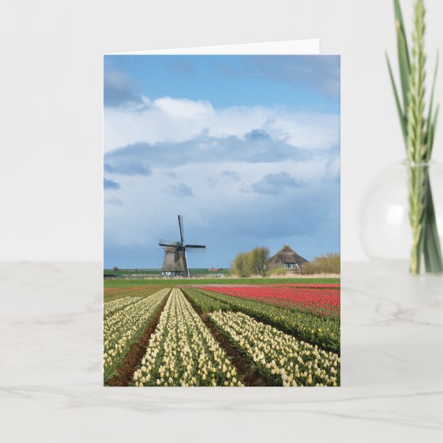 Landkarte für Windmühle und Tulpen Karte (Vorderseite)
