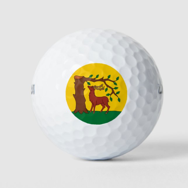 Landkreis Berkshire Golfball (Vorderseite)